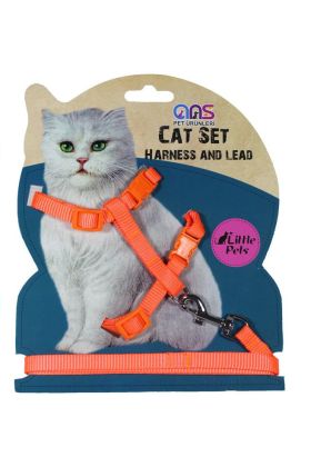 Kedi Göğüs Bel Tasması Dokuma Turuncu