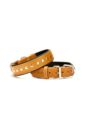 Deri Köpek Tasması 3,5x47-55 cm Kamel