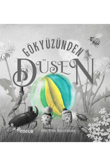 GÖKYÜZÜNDEN DÜŞEN