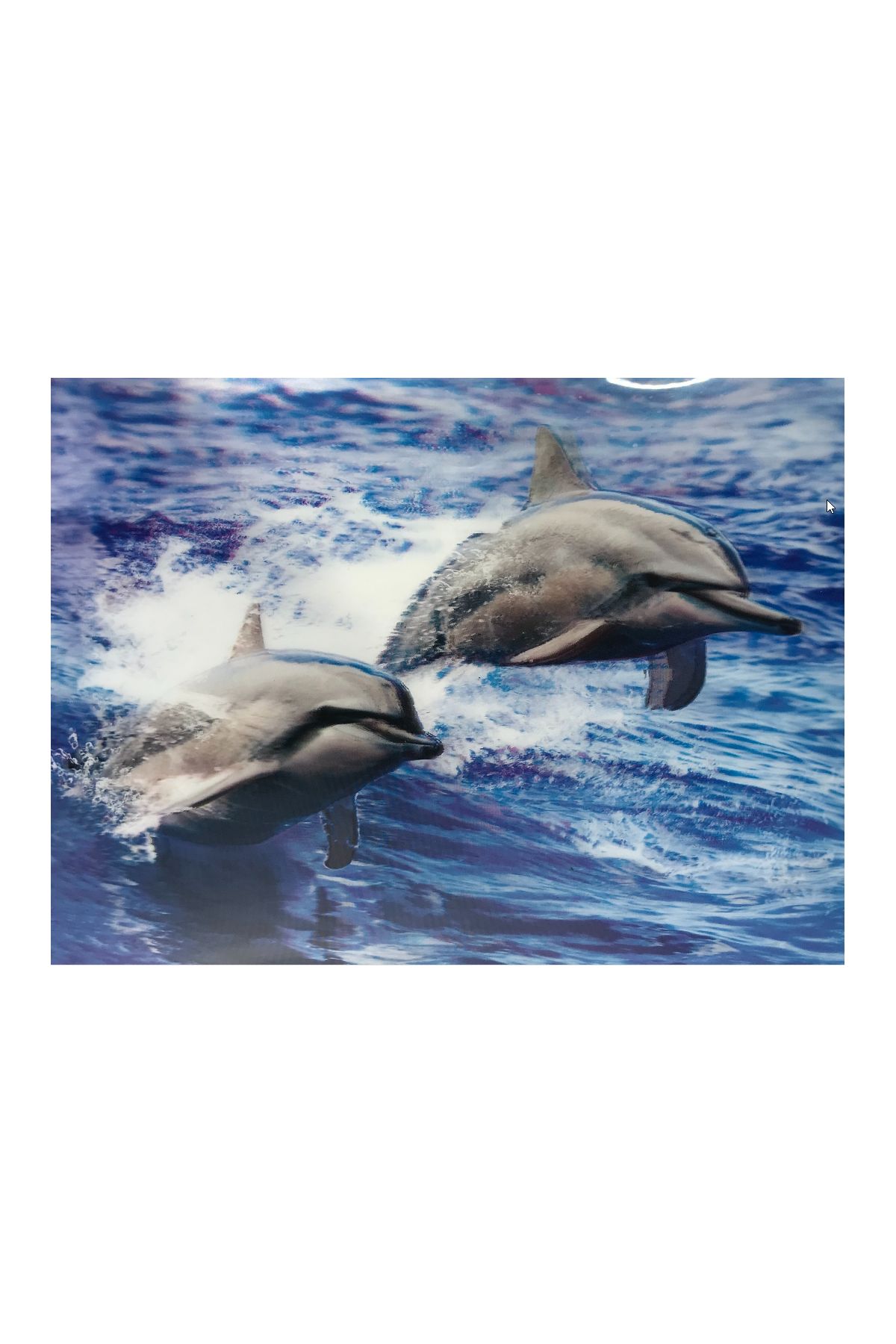 5D Elmas Boyama Sevimli Yunuslar İkili Yunus Resmi Tablosu 30x40 cm ( )