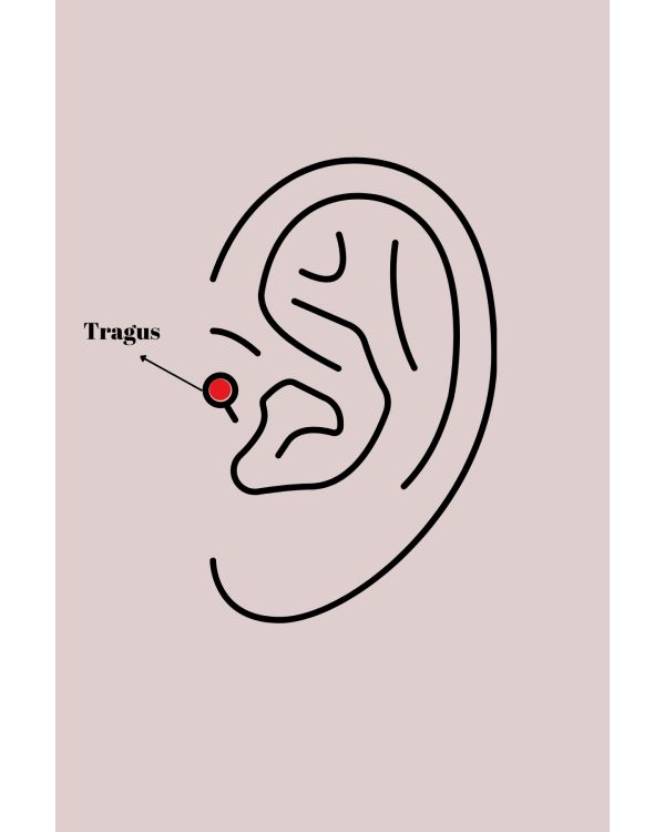 316L Çelik Gümüş Renk Zirkon Taşlı Yonca Tragus Piercing - TJ-PR1255