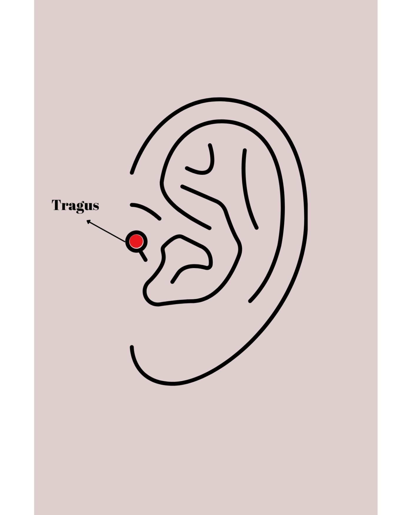 316L Çelik Gümüş Renk Kare Zirkon Taşlı Tragus Piercing - TJ-PR1309