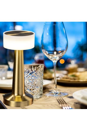 Dekoratif Led Masa Lambası MZ-328