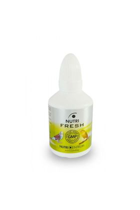 Muhabbet Kuşu İçin Soğuk Algınlığı Destek - Fresh