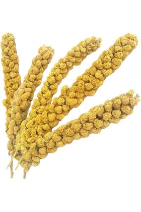 Vitaking Kuşlar İçin Doğal Sarı Dal Darı 100 gr
