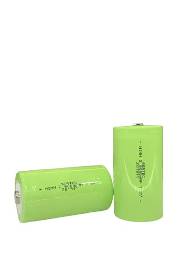 1.2V 9000 Mah Ni-Mh D Size Şarjlı Pil - Başlı / Top Head