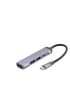 Type-C Hub 3*Usb2.0 + Usb3.0 Gri HDX7040