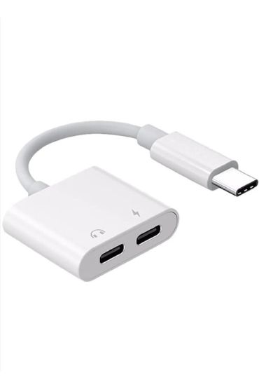 ZR293 Ftac42 Type-C 2 İn 1 Converter Adaptör