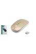 ZR215 Cba100 Rgb Gold Şarjlı Mouse