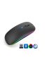 ZR215 Cba100 Rgb Siyah Şarjlı Mouse