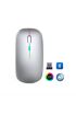 ZR215 Cba100 Rgb Gümüş Şarjlı Mouse