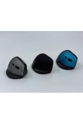 ZR721 Dry Battery Ergonomik Mouse