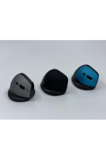 ZR721 Dry Battery Ergonomik Mouse