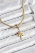 316L Çelik Zincir Gold Renk Kutup Yıldızı Model Kadın Kolye - TJ-BKO10627