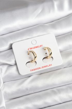 14K Gold Renk Kaplama CM Kadın Küpe - TJ-BKP11401