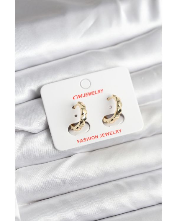 14K Gold Renk Kaplama CM Kadın Küpe - TJ-BKP11404