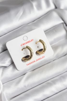 14K Gold Renk Kaplama CM Kadın Küpe - TJ-BKP11411