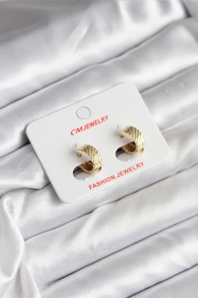 14K Gold Renk Kaplama CM Kadın Küpe - TJ-BKP11413