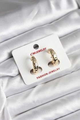 14K Gold Renk Kaplama CM Kadın Küpe - TJ-BKP11420