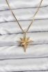 316L Çelik Zincir Gold Renk Kutup Yıldızı Model 60 cm Zincir Kadın Kolye - TJ-BKO10759