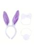 Lila Mor Tavşan Kulak Papyon Kuyruk 3'lü Parti Seti
