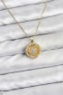 316L Çelik Zincir Gold Renk Kutup Yıldızı Kapaklı Model Kadın Kolye - TJ-BKO10773