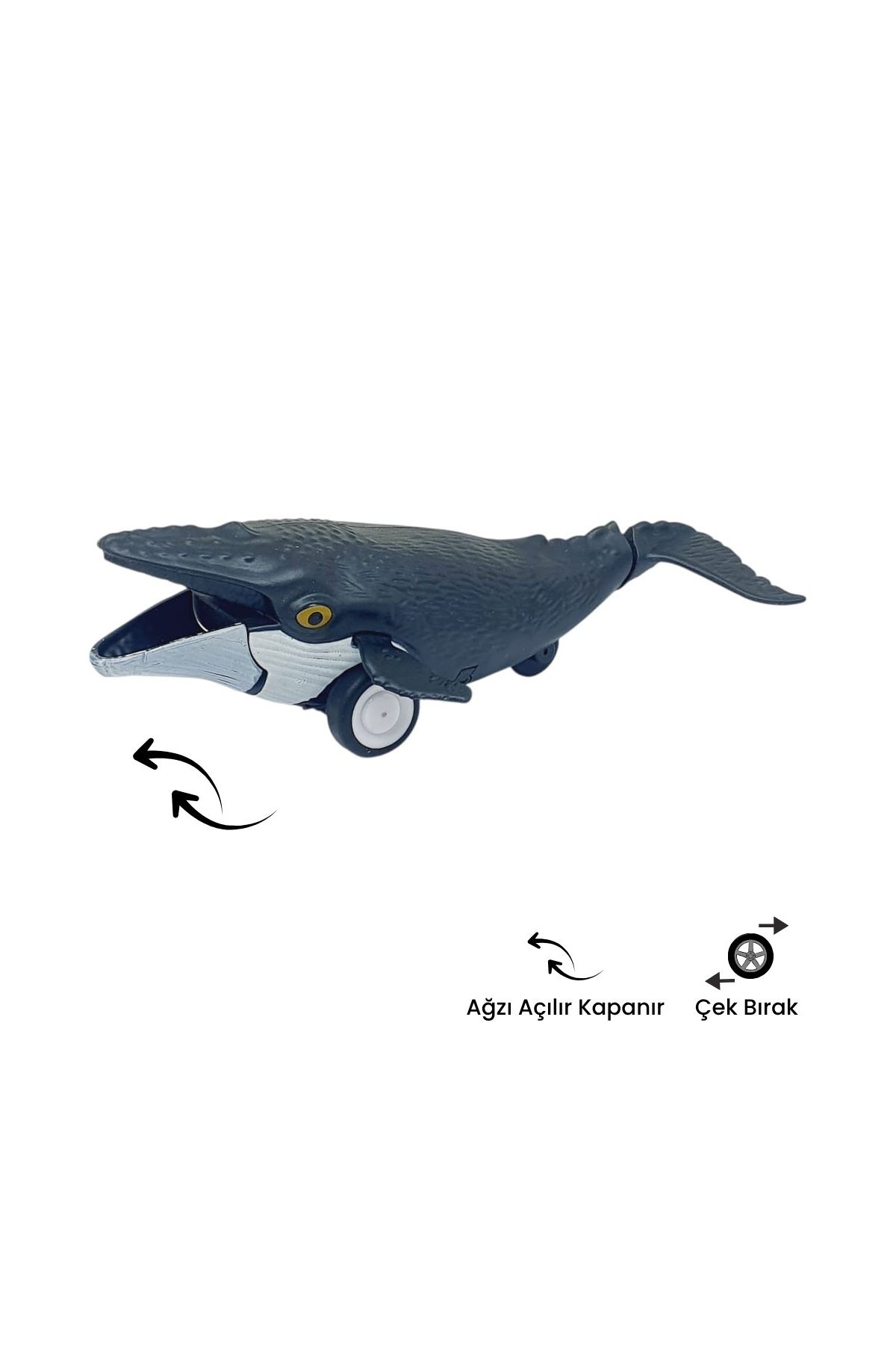 Sürtmeli Hayvanlar Serisi - H-53 - Balina