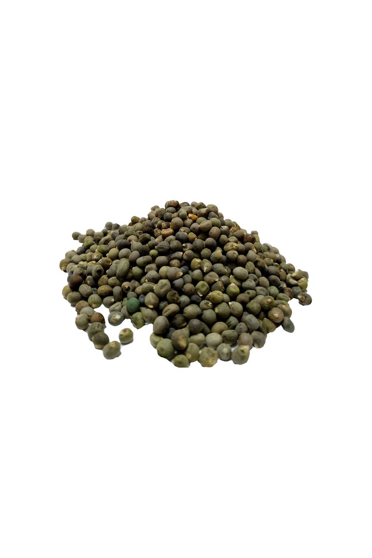 Bamya Tohumu 100 Gr Paket