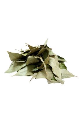 Defne Yaprağı 80 Gr Paket