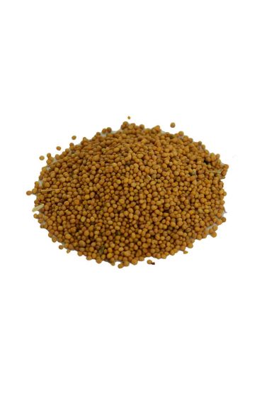 Hardal Tohumu Tane Doğal Sarı 100 Gr Paket