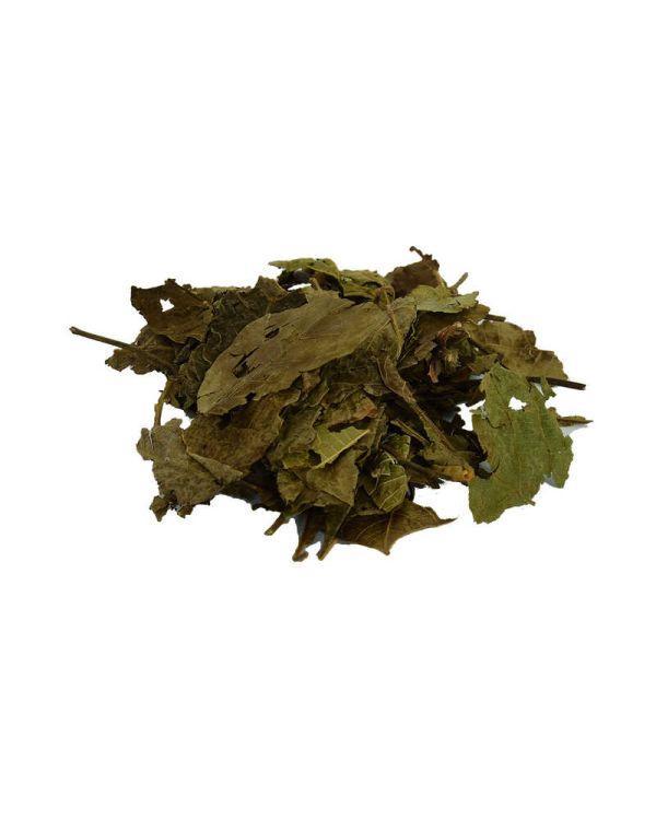 Ceviz Yaprağı Doğal 100 Gr Paket