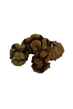 Selvi Kozalağı Doğal 100 Gr Paket