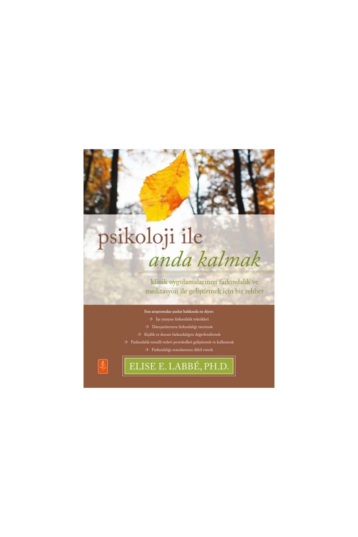 PSİKOLOJİ İLE ANDA KALMAK - Klinik Uygulamalarınızı Farkındalık ve Meditasyon ile Geliştirmek için Bir Rehber / Psycho