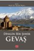Dingin Bir Şehir GEVAŞ