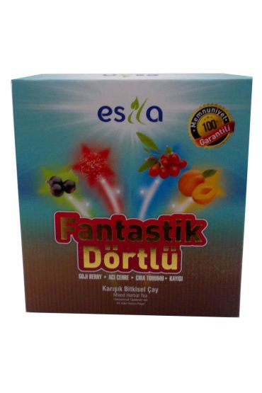Fantastik Dörtlü sel Yaz Çayı 45 Süzen Poşet
