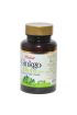 Ginkgo Biloba 60 Tablet