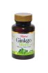Ginkgo Biloba 60 Tablet