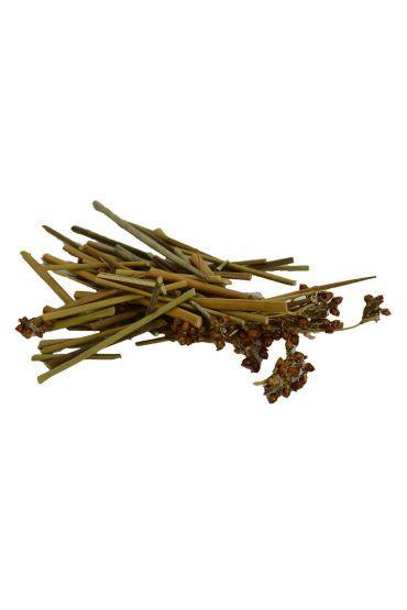 Kayışkıran Otu Doğal 100 Gr Paket