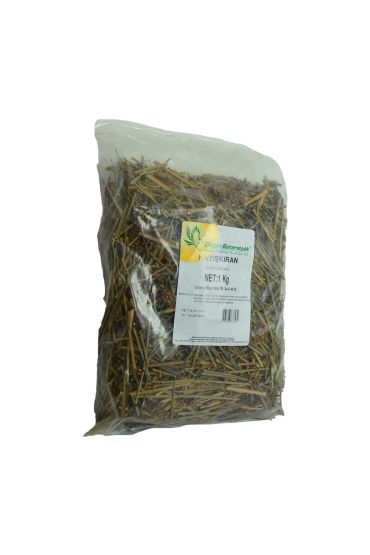 Kayışkıran Otu Doğal 1000 Gr Paket