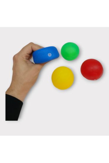 Köpek Oyuncağı - Plastik Düdüklü Top - 4 lü Set