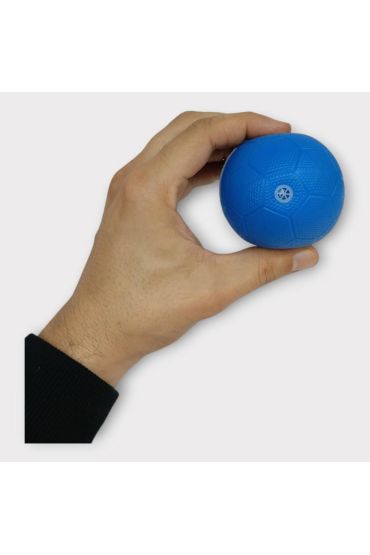 Köpek Oyuncağı - Plastik Düdüklü Top - Mavi