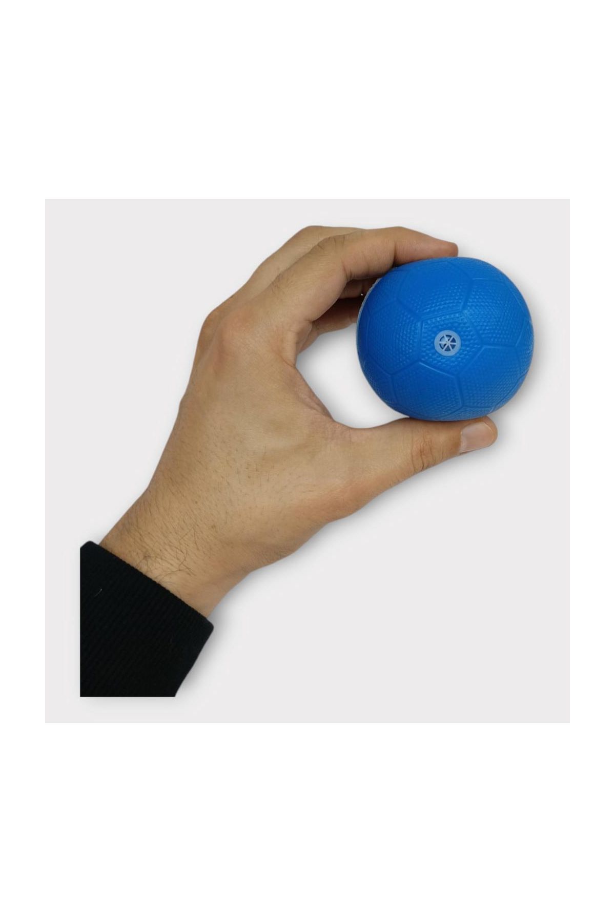 Köpek Oyuncağı - Plastik Düdüklü Top - Mavi