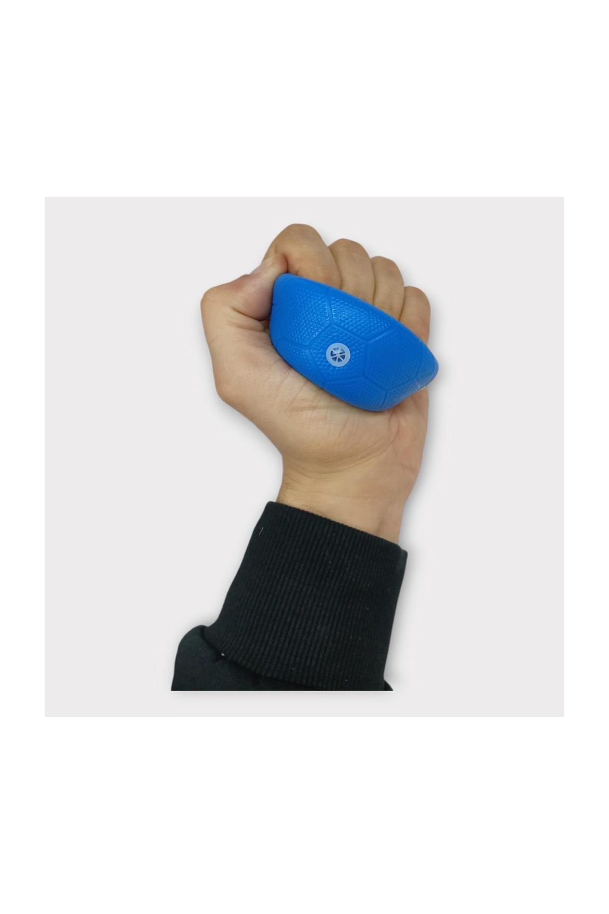 Köpek Oyuncağı - Plastik Düdüklü Top - Mavi