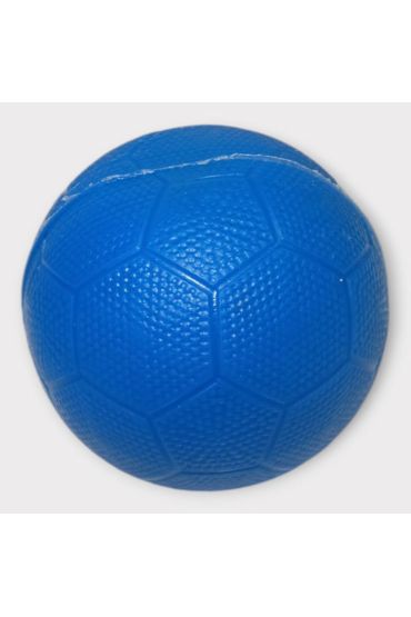 Köpek Oyuncağı - Plastik Düdüklü Top - Mavi