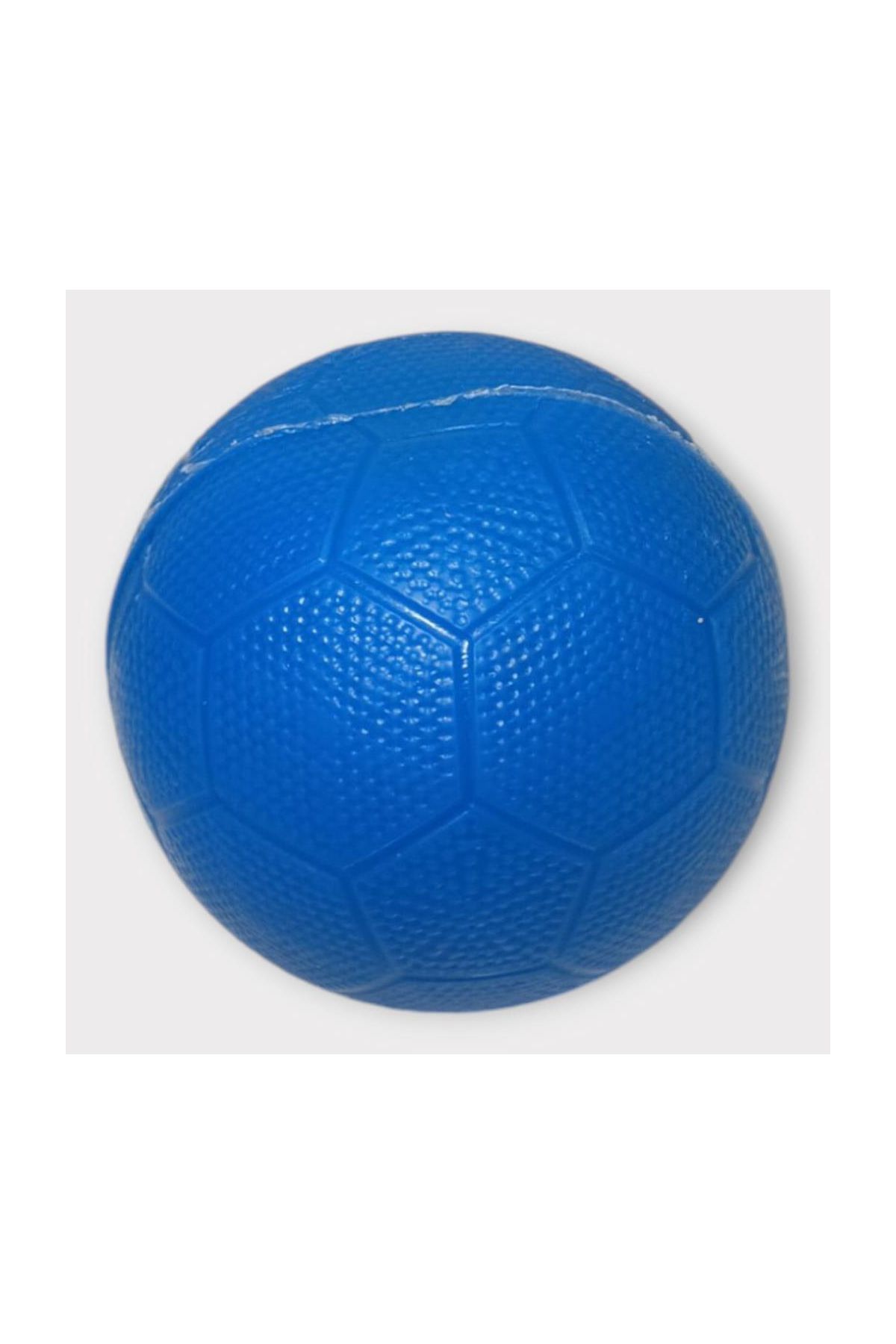 Köpek Oyuncağı - Plastik Düdüklü Top - Mavi