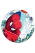 Spider-Man Deniz Topu  51 Cm