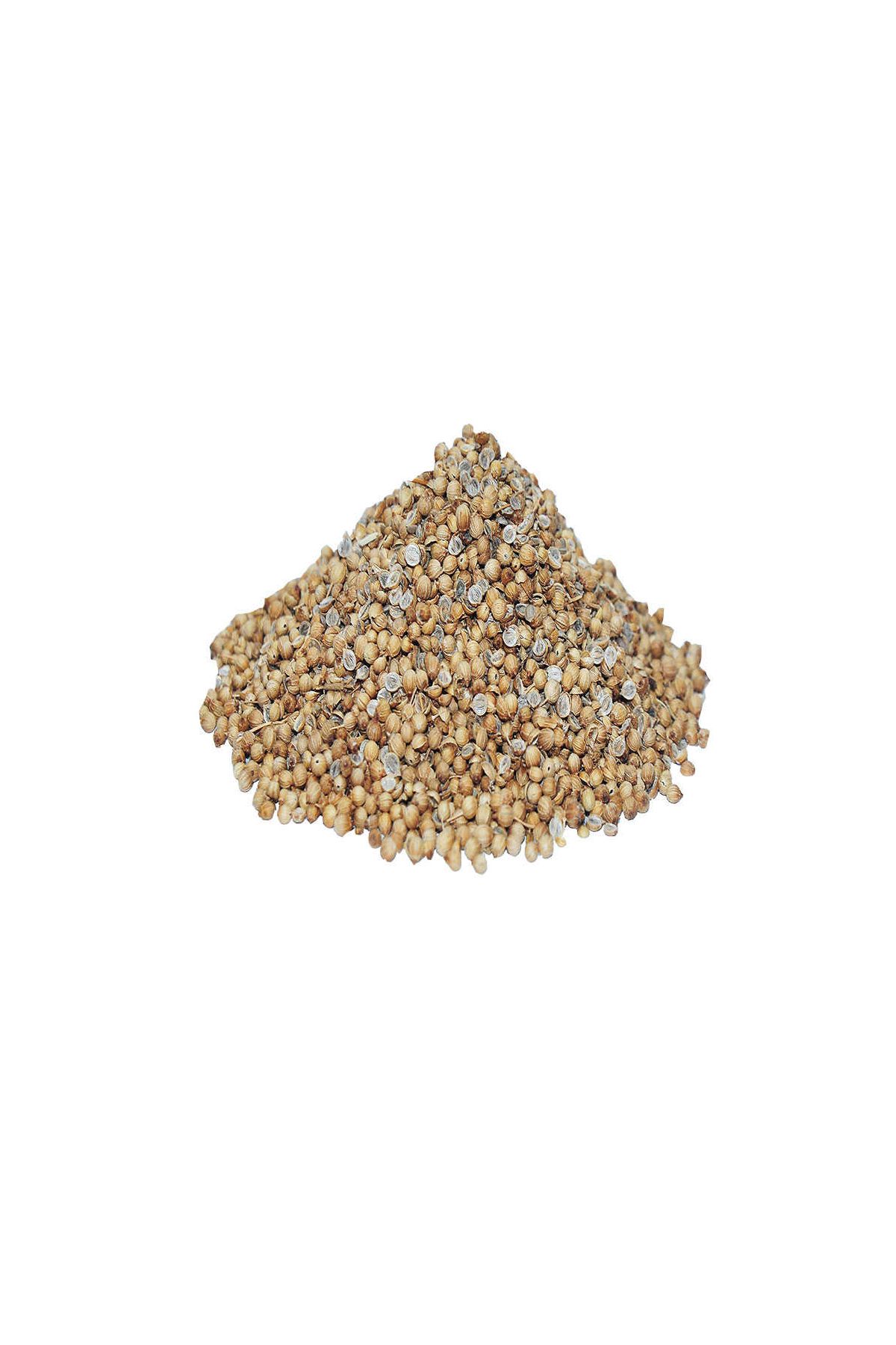 Kişniş Doğal Tane 1000 Gr Paket