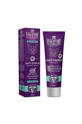 Gastro Sindirim Sağlığı Destekleyici Kedi 100 gr