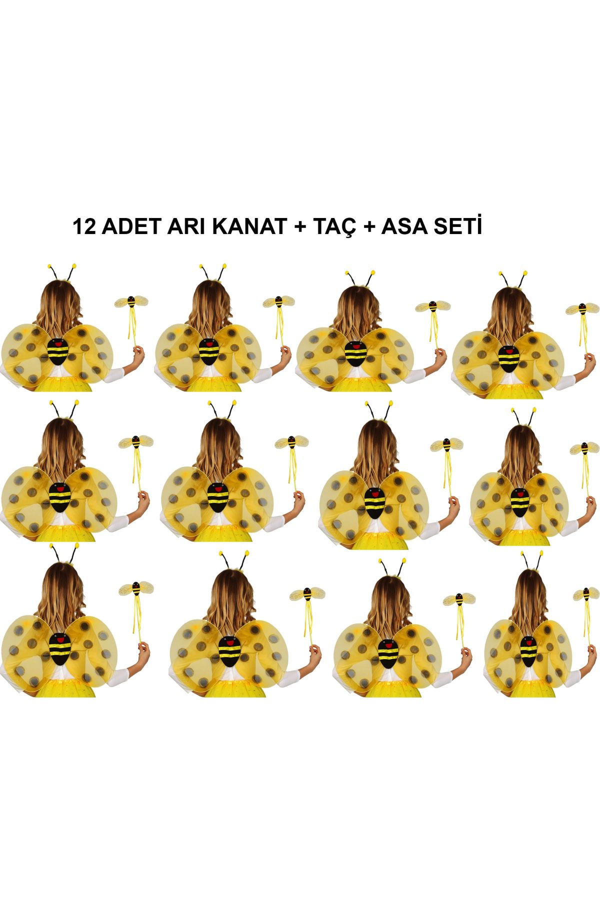 Okul Gösterileri için 12&amp39li Arı Kanadı Seti - Etkinlik Kanatları