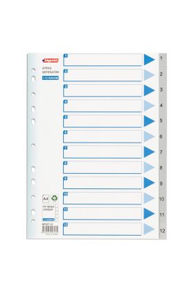 Bigpoint PP Seperatör 1-12 Rakamlı x 25 Adet